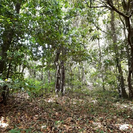 Farm stay Finca La Jaraca *