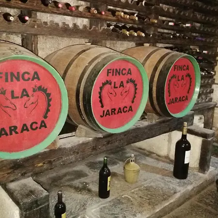 Finca La Jaraca * Tacoronte