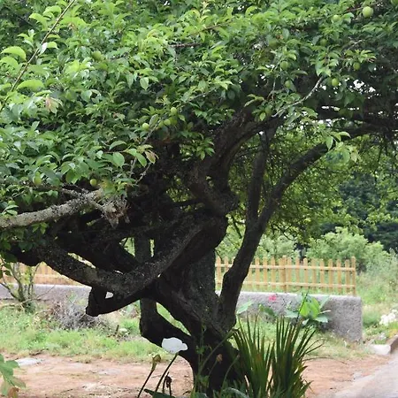 Finca La Jaraca Agroturismo *